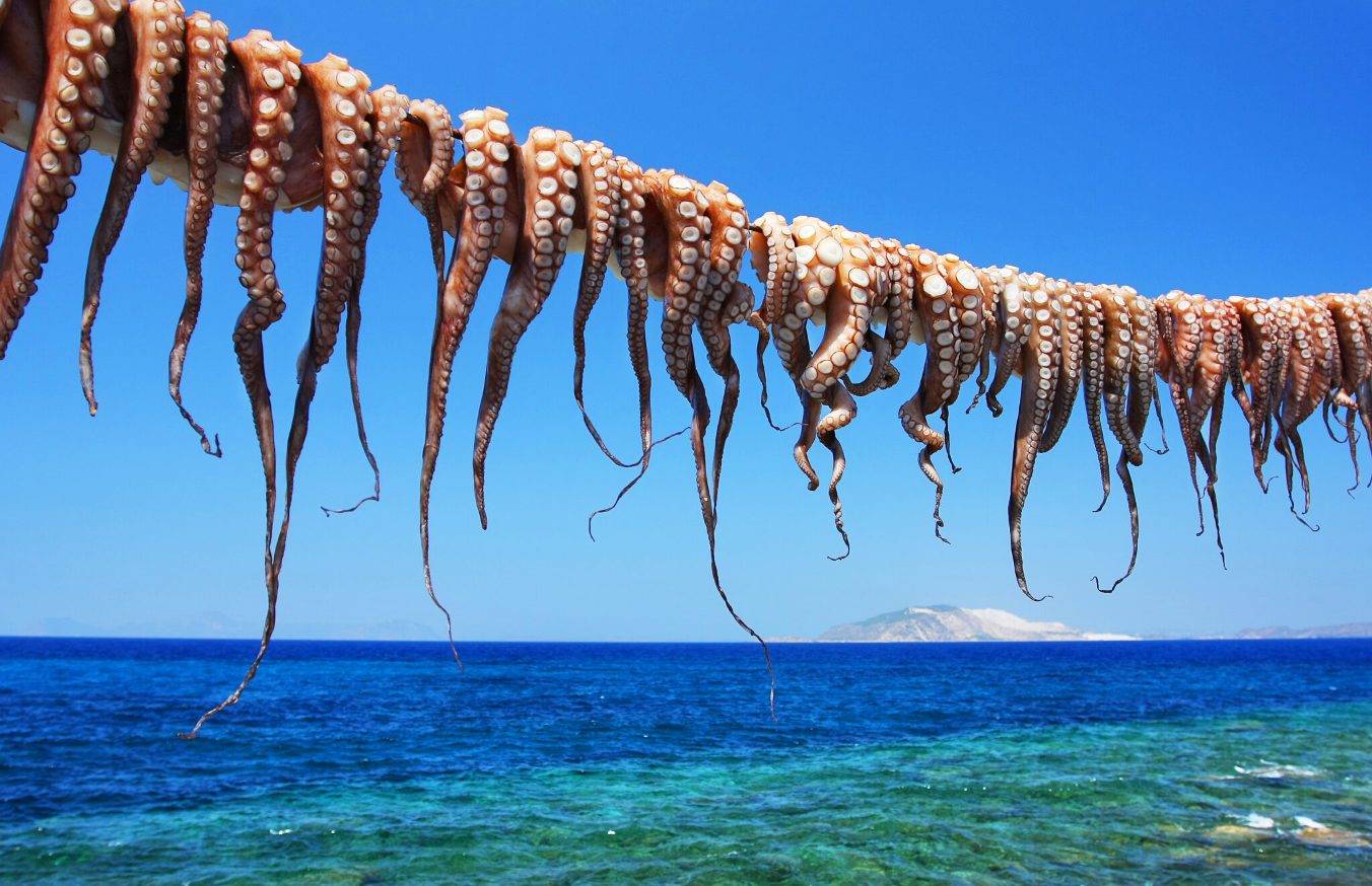 Escorted Greece Tours
Greece holidays
My Greece Tours
MyGreeceTours
Tours in Greece
Greece travel
